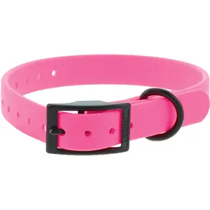Collar para perro de doble hebilla Canihunt Ctech 2