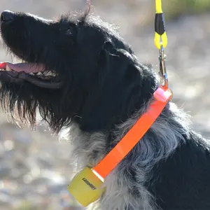 Cloche Canihunt ALP image-2