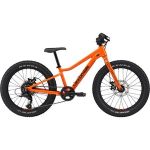 Kinderfahrrad Cannondale Trail 20 Plus