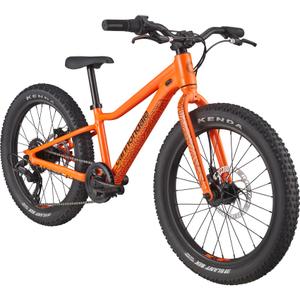 Kinderfahrrad Cannondale Trail 20 Plus image-1