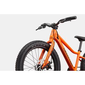Kinderfahrrad Cannondale Trail 20 Plus image-3