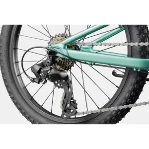 Vélo enfant Cannondale Trail 20 C2 image-5