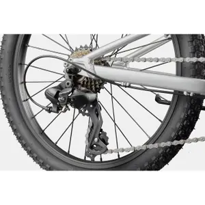 Barncyklar Cannondale Trail 20 C2 image-5