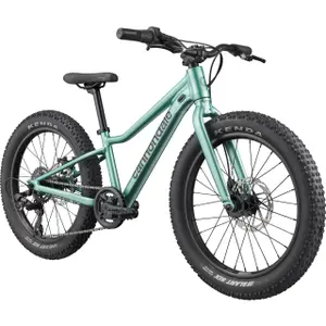 Vélo enfant Cannondale Trail Plus 20 image-1