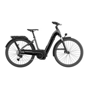 E-Bike für alle Wege Cannondale Tesoro Neo X