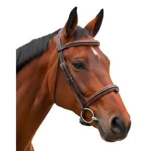 Combined Half-Round Noseband Riding Bridle Canter Vagabond image-0