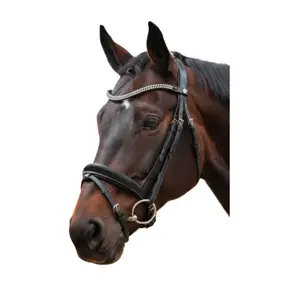 Kombinovaný uzdečka pro jezdectví Canter Valegro