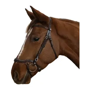 Anatomisches Reitpferd Zaumzeug Canter Cayman