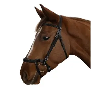 Anatomisches Reitpferd Zaumzeug Canter Cayman