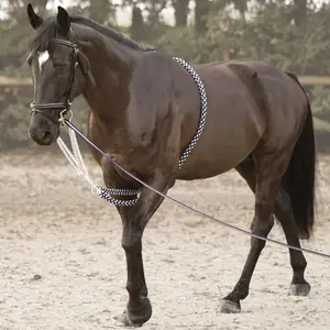 Enrênement pour longe cheval Canter Soft Rope image-2
