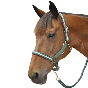 Set halster + touw lurex Canter image-0