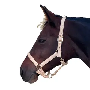 Halter for horse Canter Malibu image-0