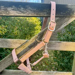 Halter for horse Canter Malibu image-1