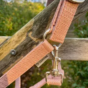 Halter for horse Canter Malibu image-2