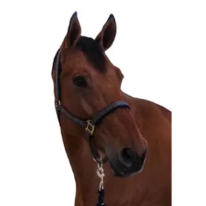 Conjunto de cabresto e corda de chumbo para cavalo Canter Sonoma image-0