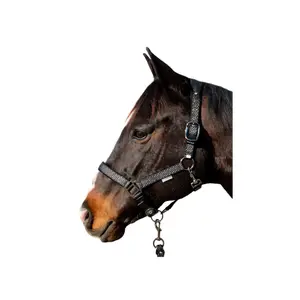 Conjunto de cabresto e corda de chumbo para cavalo Canter Sonoma image-2