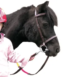 Zaumzeug Reiten Canter Club image-0