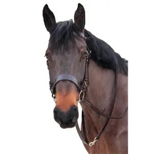 Uzda dla koni Canter image-0