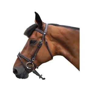 Hoofdstellen Canter Black strass