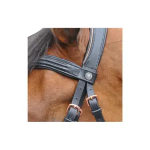 Cabeçotes de cavalo Canter Rose gold image-1