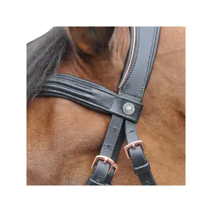 Cabeçotes de cavalo Canter Rose gold image-1