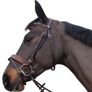 111130-marron-trans-for-ridning-canter-alme-brun