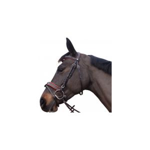 product/c/a/canter_111130-noir_mag4568639_1.jpg