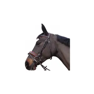 111130-noir-trans-for-ridning-canter-alme-svart