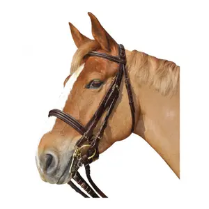 111505-marron-trans-for-ridning-canter-euro-brun