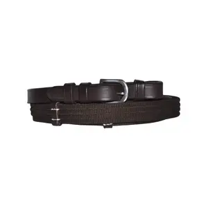 Zügel Canter image-0