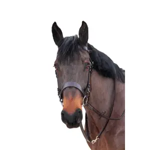 Renifery dla koni Canter image-1