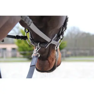 Lonża jeździecka Canter image-1