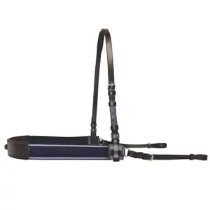 Bricole elastiek Canter image-1