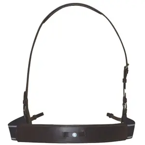 Bricole elastiek Canter image-0