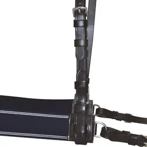 Bricole elastiek Canter image-3