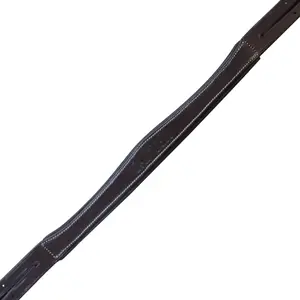 Cabezal para montar a caballo Canter image-1