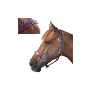 Lined leather halter for horses Canter image-0