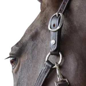 Licol pour cheval cuir doublé Canter image-0