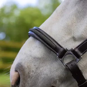 Halter for horse Canter Mylord image-1