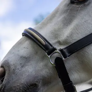 Halter for horse Canter Mylord image-2