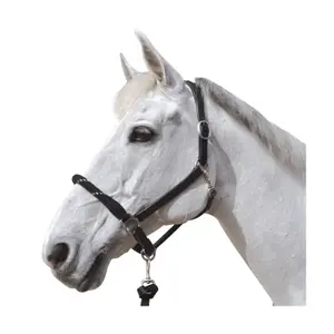 119520-noir-argent-repgrimma-for-hast-canter-svart-silver