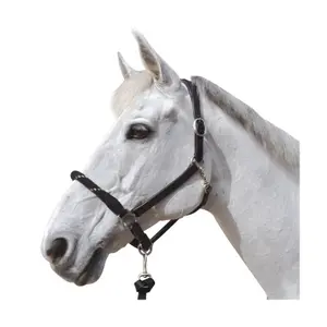 Touwhalster voor paarden Canter