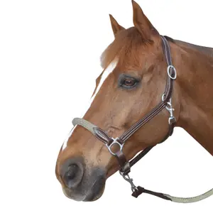 119522-marron-beige-laderhalare-med-rep-canter-brun-beige