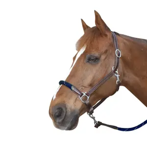 119522-marron-marine-laderhalare-med-rep-canter-brun-navybrun