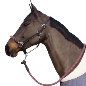 119522-marron-vieux-rose-repgrimma-med-vita-spannen-canter-brun-aldersrosa