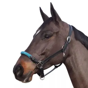 119522-marron-gris-repgrimma-med-vita-spannen-canter-brun-gra