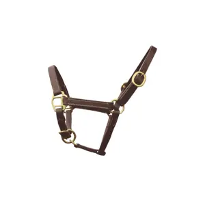 Licol pour cheval en cuir poulain Canter image-0