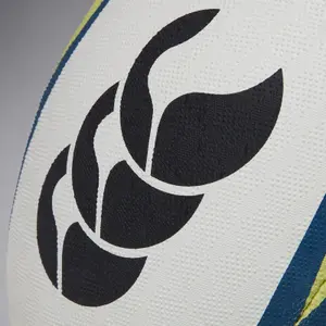 20er Set Rugby Trainingsbälle Canterbury Mentre image-1