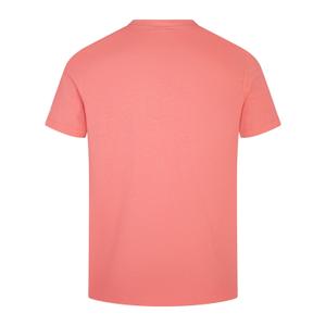 T-shirt i bomuld Irlande Team 2023 image-2