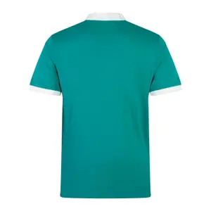 Camiseta 1ª Equipación Irlande Classic AM 2025 image-1